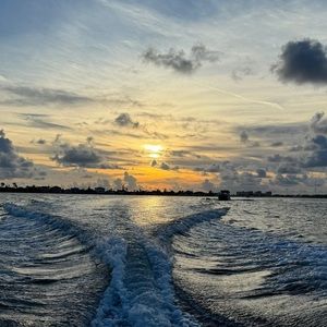 Meet your Posher, Jade